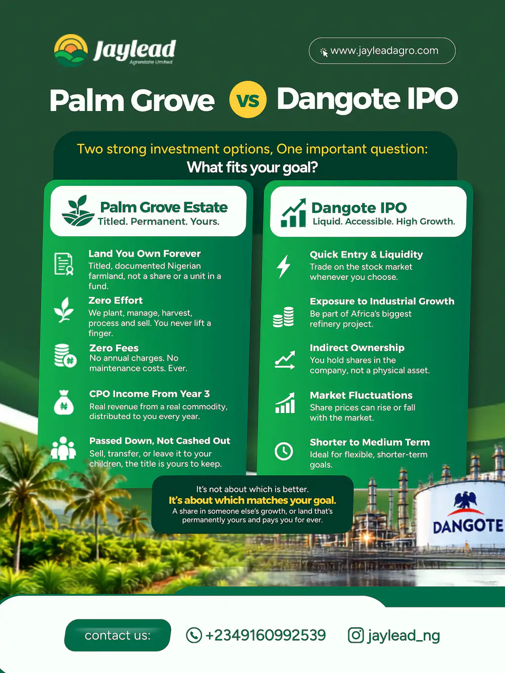A Jaylead graphic comparing a Palm Grove Estate plot with buying shares in an IPO