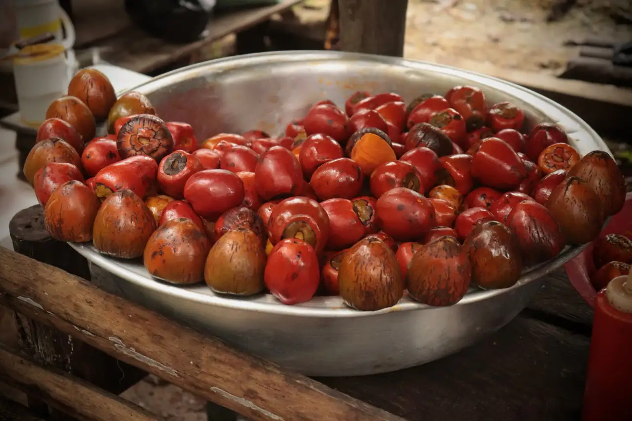 Fresh red and black oil palm fruitlets in a large metal basin
